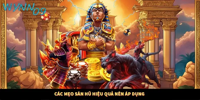 Các mẹo săn hũ hiệu quả nên áp dụng